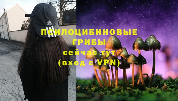 гашик Баксан